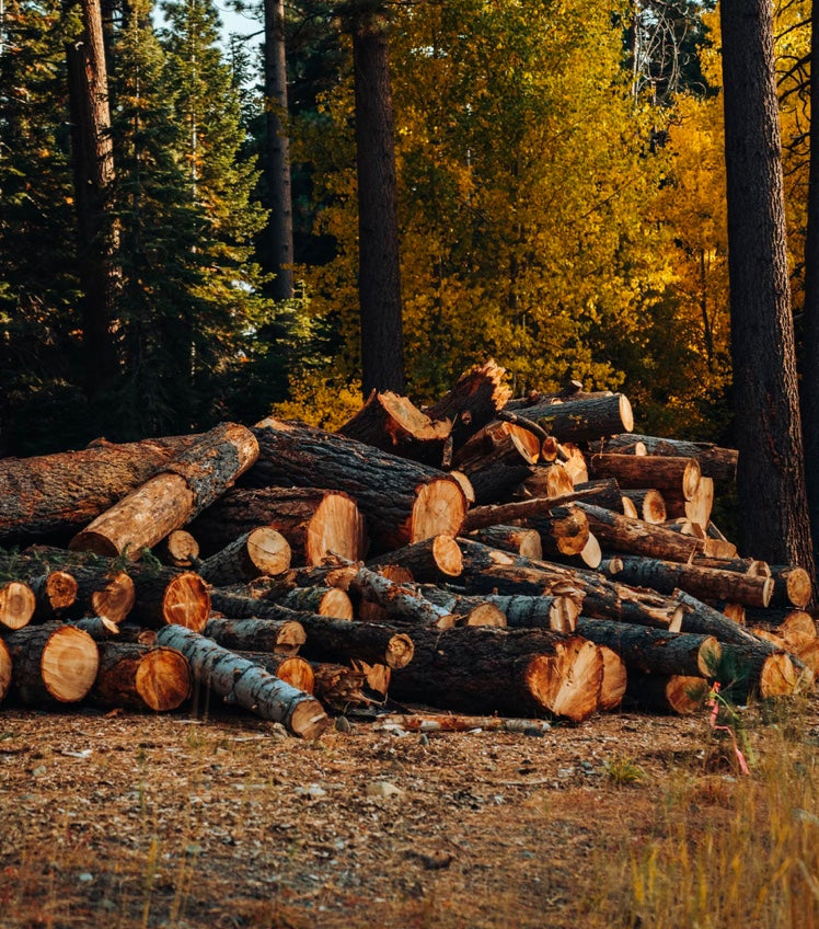 Sweeping Your Chimney & Why It's Important Wood Fuel Direct